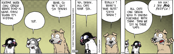 fuzzy
